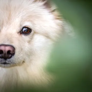 中彩网App下载
